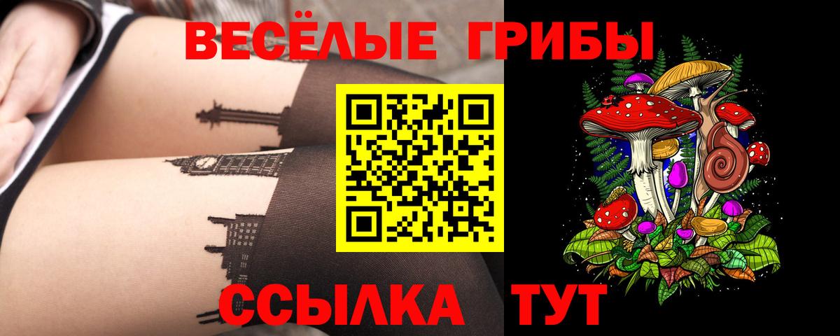 Псилоцибиновые грибы мухоморы  Вход с VPN  Галлюциногенные грибы MAGIC MUSHROOMS  цена наркотик  Новокузнецк 