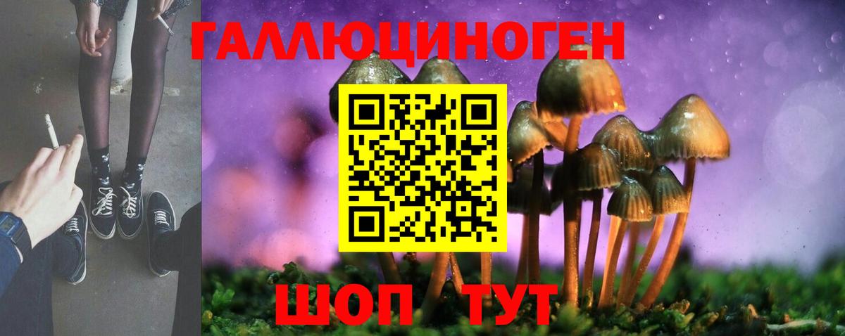 Псилоцибиновые грибы мицелий Новокузнецк